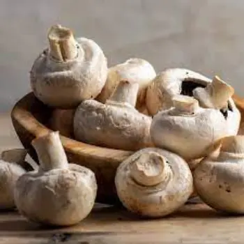 Organic Fresh Mushroom