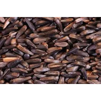 Common Niger Seeds