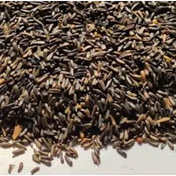 Organic Niger Seeds