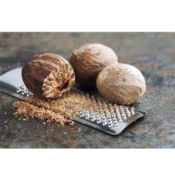 Natural Nutmeg Manufacturer, Exporter, Wholesaler, and Trader