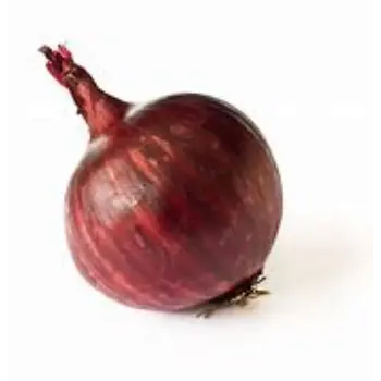 Organic Onion