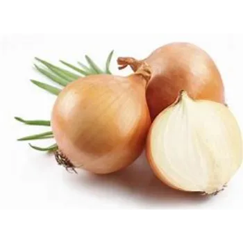 Organic Onion