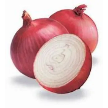 Onion