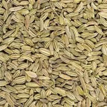 Organic Fennel Seeds