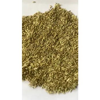 Organic Fennel Seeds