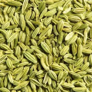 Organic Fennel Seeds