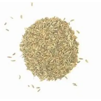 Organic Fennel Seeds