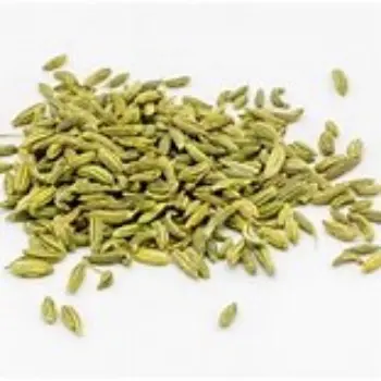 Organic Fennel Seeds