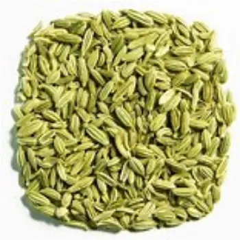 Organic Fennel Seeds