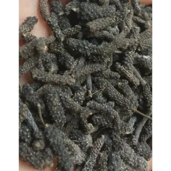 Organic Long Pepper