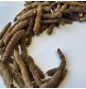 Fresh Organic Long Pepper