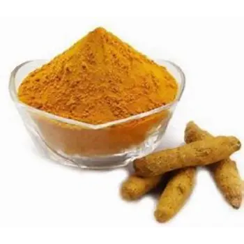 Organic Turmeric Powder Exporter