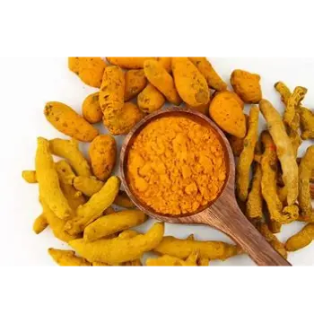 Fresh Organic Turmeric Powder Exporter