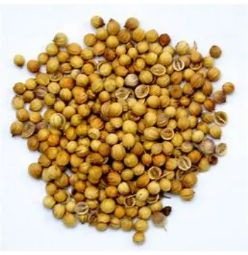 Natural Coriander Seed