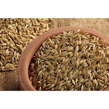 Natural  Paddy Seeds