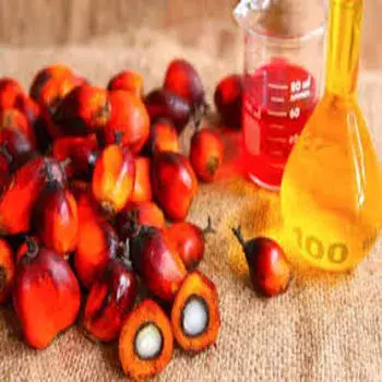 Palm Olein Oil Liquid Blended Manufacturer