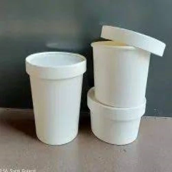 Paper Food Container