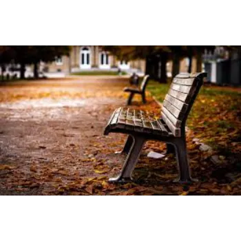 Comfortable Park Bench