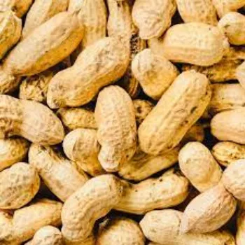 Organic Shelled Peanuts