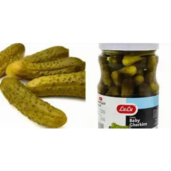 Fresh Pickled Gherkins