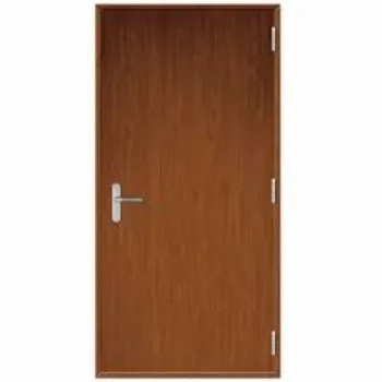 Aegis Pine Wood Flush Door