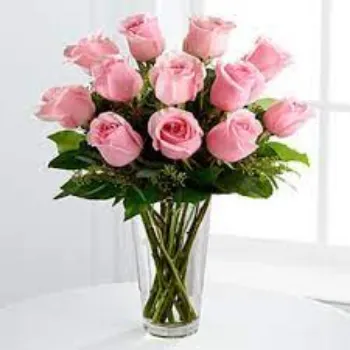 Fresh Pink Roses