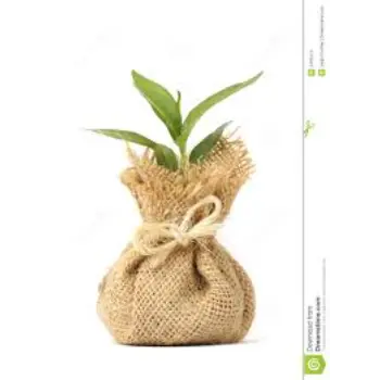 Perfect Quality Plant Bag