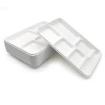 Plastic Disposable Trays For Food Packaging 