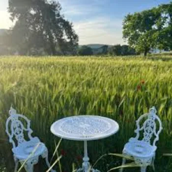 Fully Assembled  Plastic Garden Chair