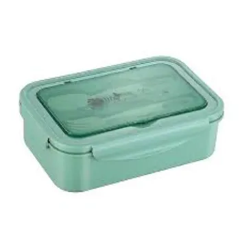 Attractive Designs  Plastic Lunch Box