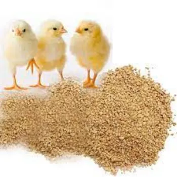 Organic Poultry Feed