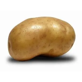 Organic Potato