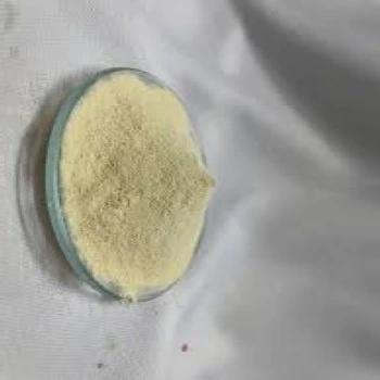 Protein Hydrolysate Powder