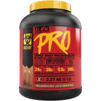 Protein Supplements