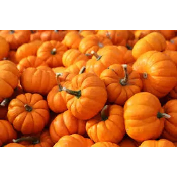 Natural Fresh Pumpkin