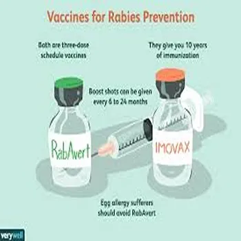 Rabies Vaccine