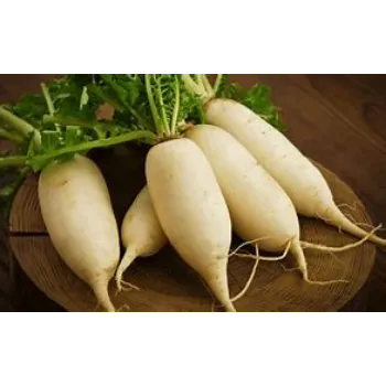 Organic Radish