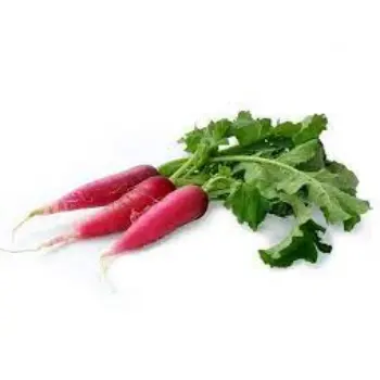 Organic Radish