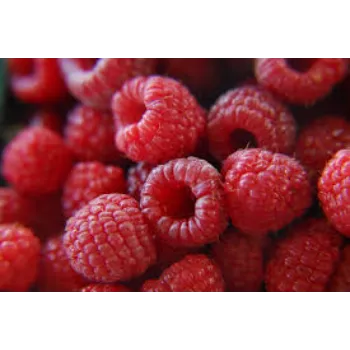 Raspberry Ketone