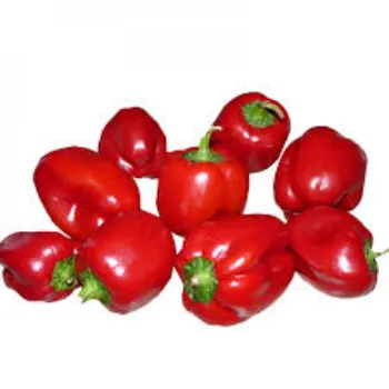 Organic Red Capsicum