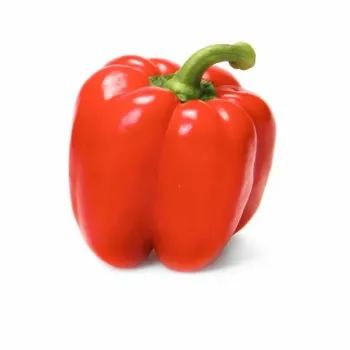  Red Capsicum