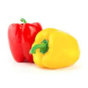 Organic Red Capsicum