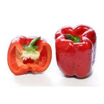 Natural Fresh Red Capsicum