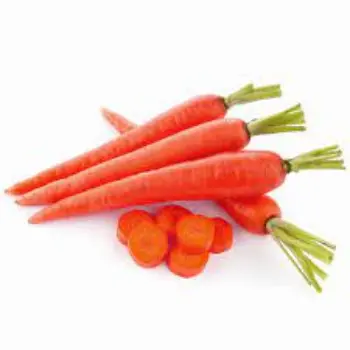 Organic Red Carrot