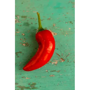 Red Chilli