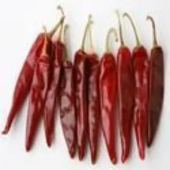  Red Chilli