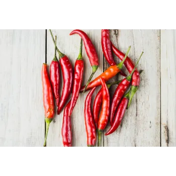 Red Chilli