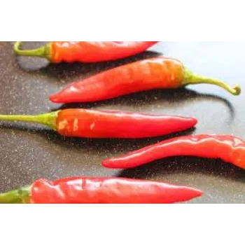 Natural Fresh Red Chilli