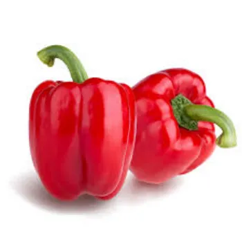 Fresh Red Capsicum