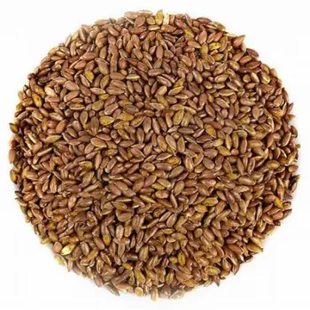 Roasted Flax Seeds